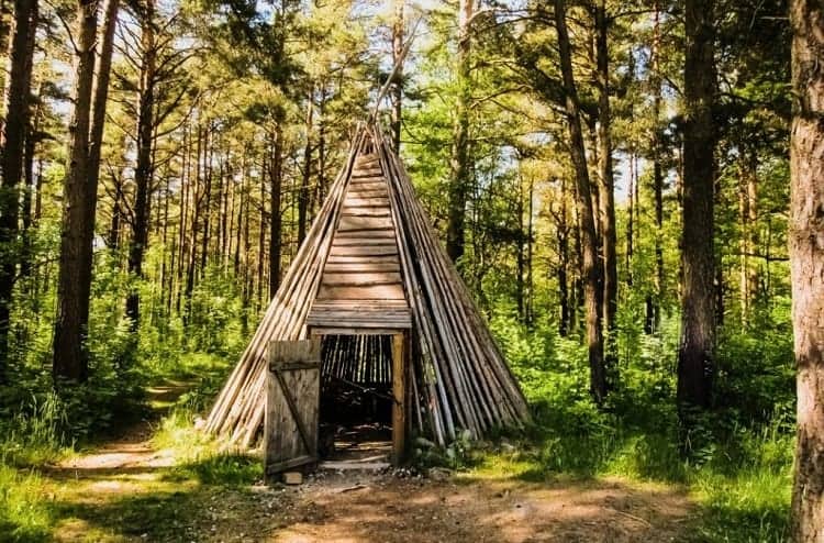 Are Long Term DIY Survival Shelters Possible? 7 Surival Shelter