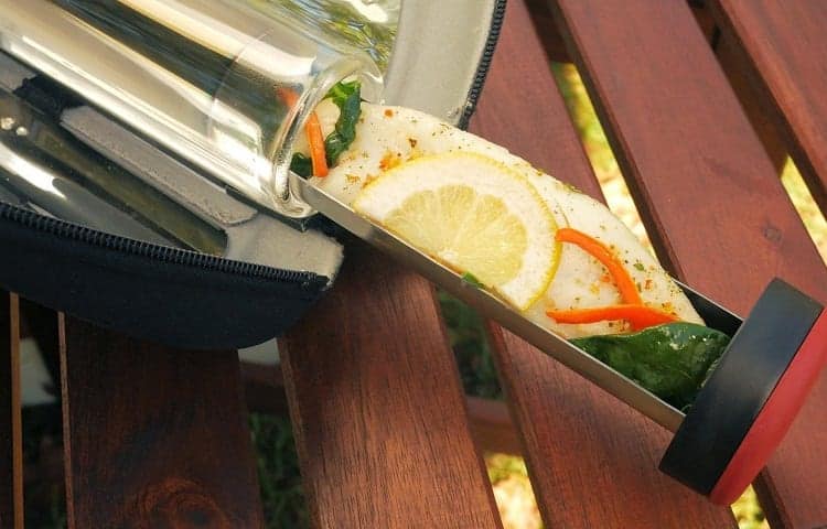 salmon from solar oven