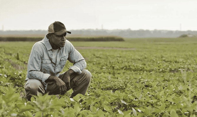 7 Important Survival Skills for Surviving An Economic Depression