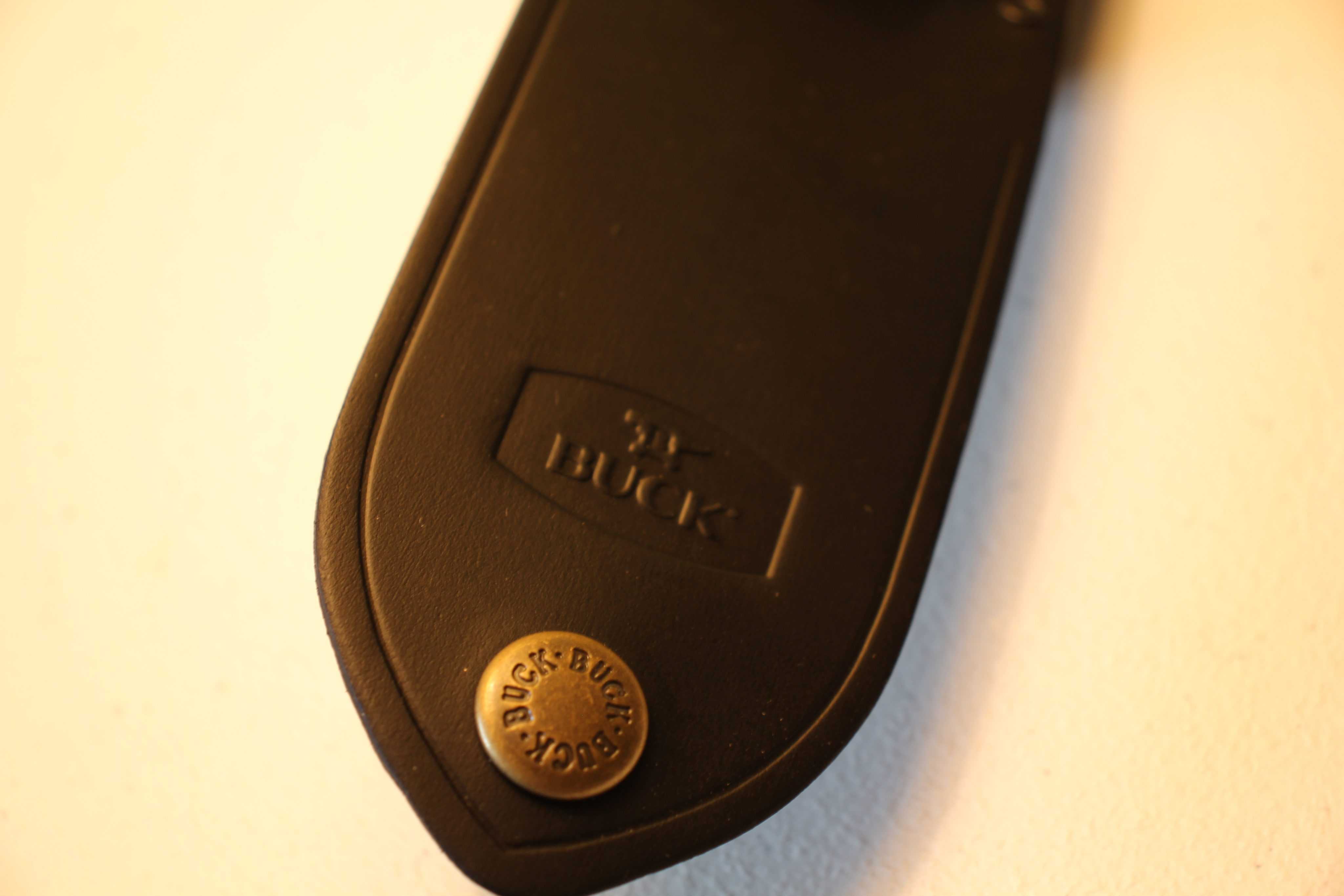 Buck 110 Knife Case 3