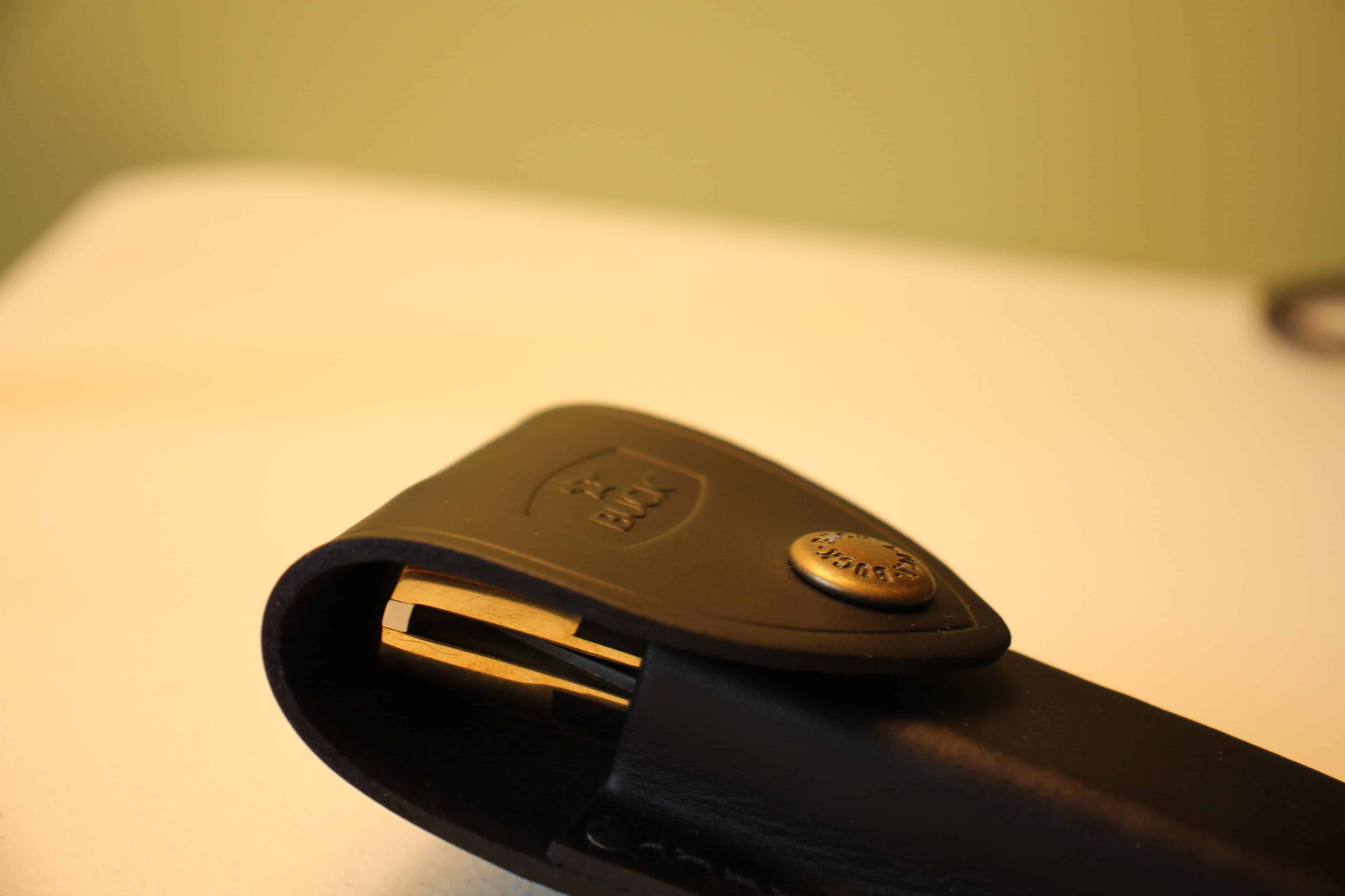 Buck 110 Knife Case 1